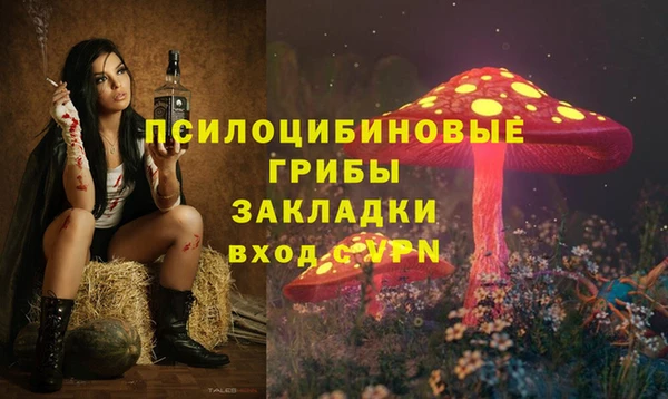 тгк Алексеевка
