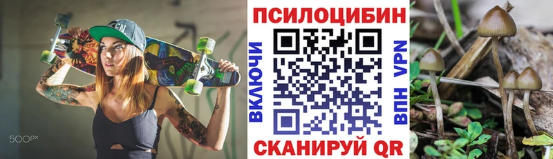 Псилоцибиновые грибы GOLDEN TEACHER  Хотьково 